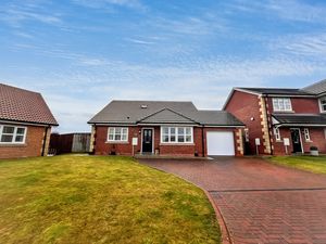 Photo 9- click for photo gallery